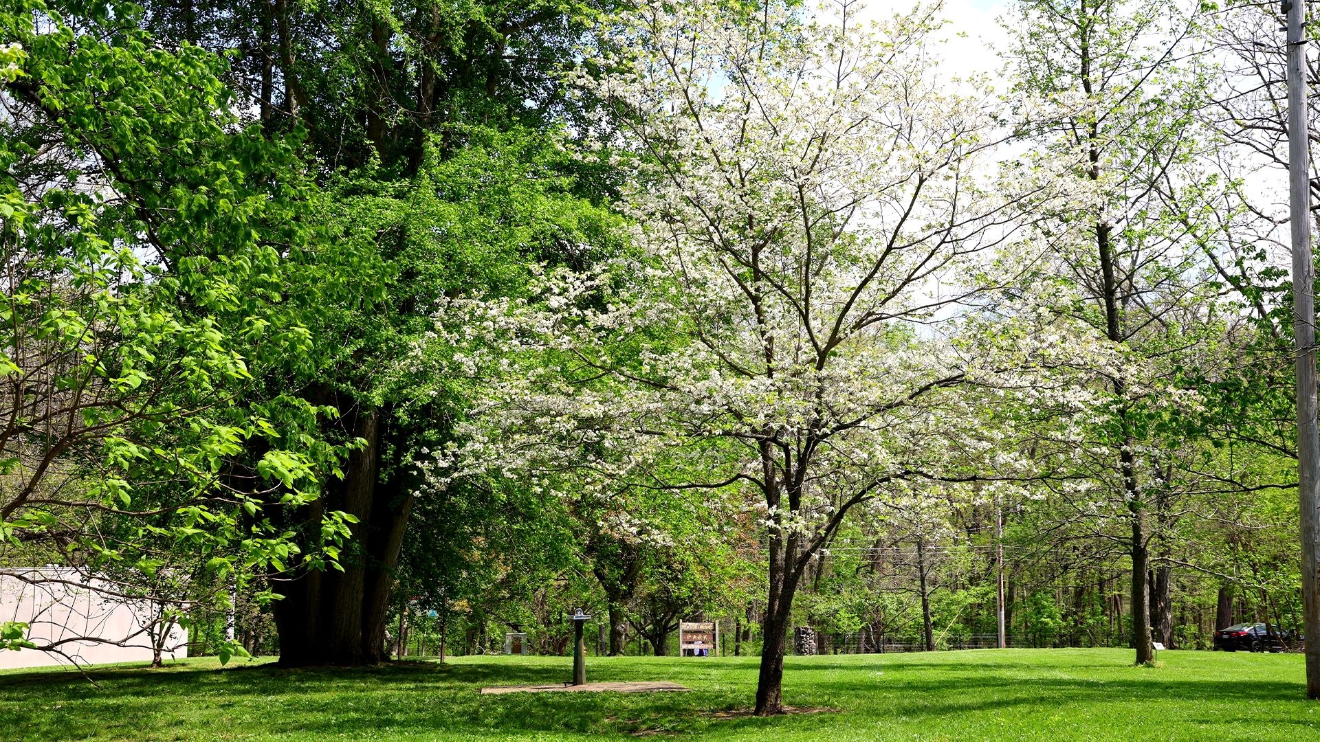 Beatty Hughes Park