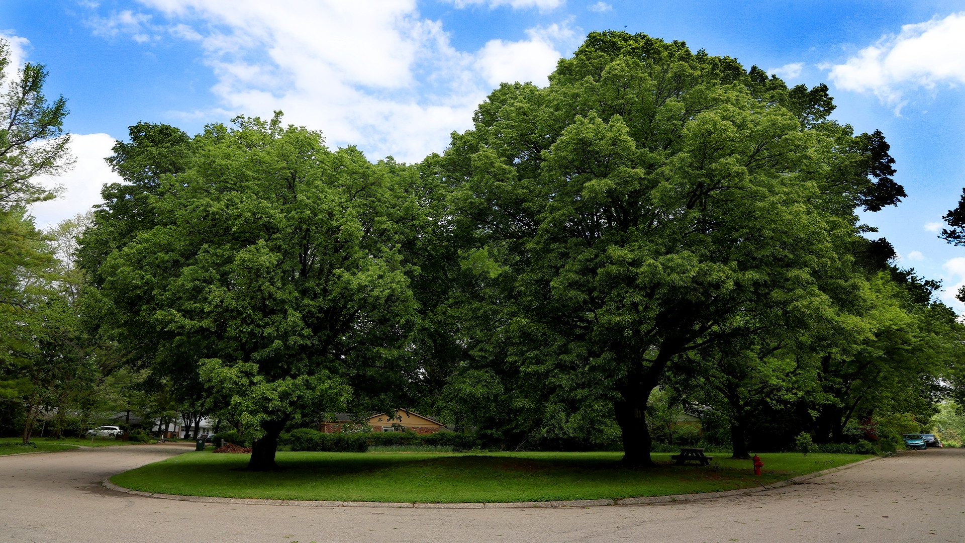 Whitehall Park
