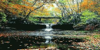 Glen Helen_Cascades